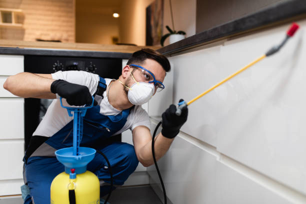 Best Pest Inspection Near Me  in Frankl, IN
