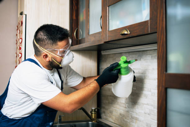 Best Ant Control Services  in Frankl, IN