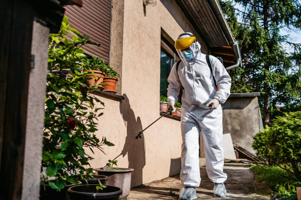 Best Cockroach Control Services  in Frankl, IN