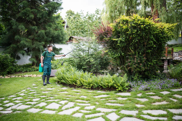 Best Affordable Pest Control Services  in Frankl, IN