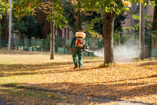 Best Pest Removal Services  in Frankl, IN