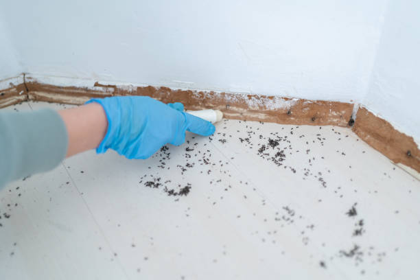 Best Wildlife Control Services  in Frankl, IN